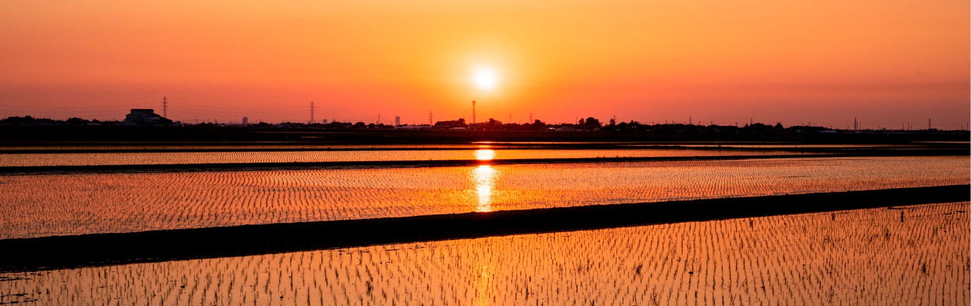 田園風景